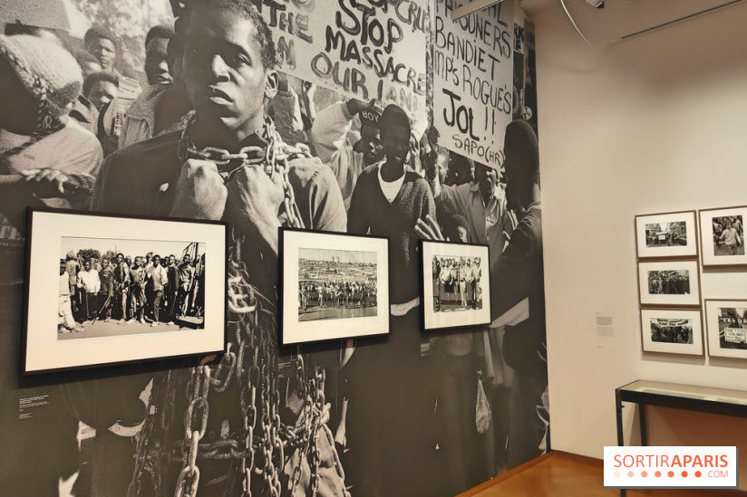 Marie-Laure de Decker exposition MEP - fotor 1748953060089