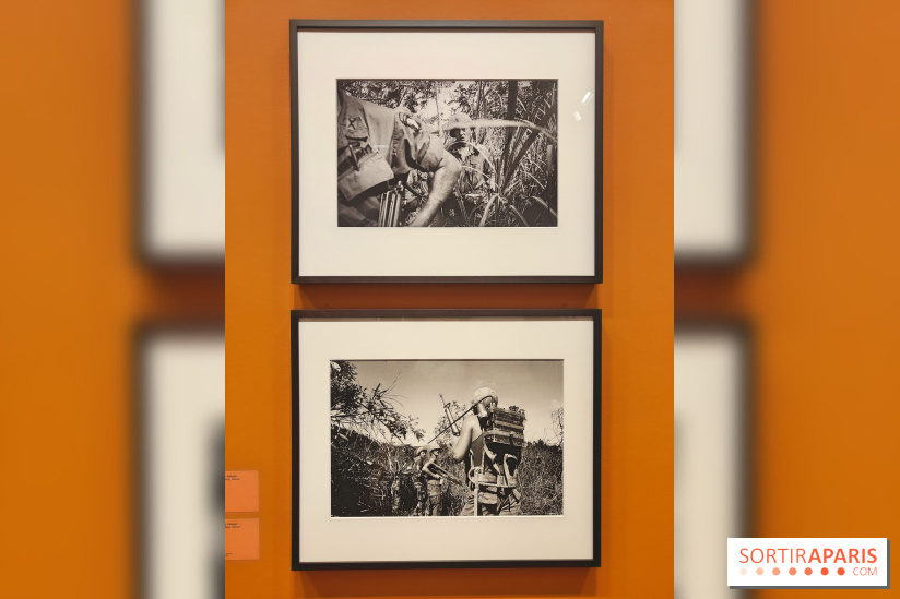 Marie-Laure de Decker exposition MEP - fotor 1748952698959