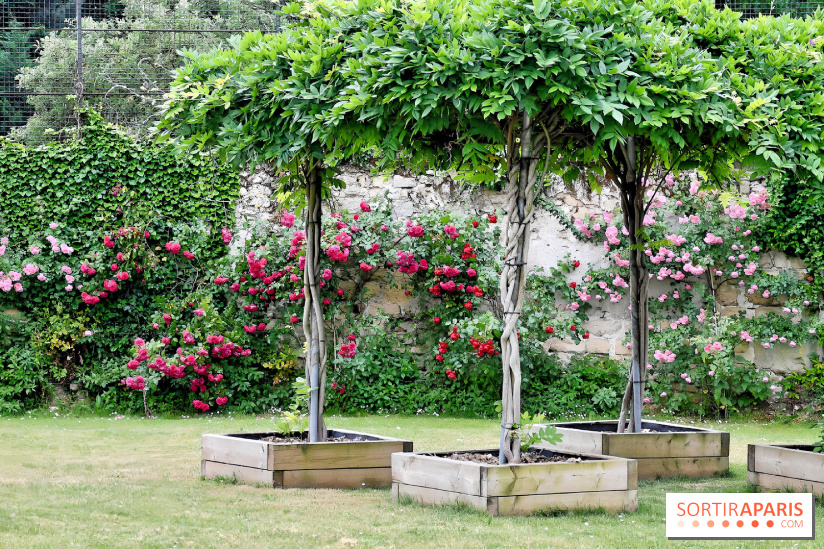 Maison Blanche le restaurant gastronomique du Mesnil Saint-Denis (93) - IMG 1038