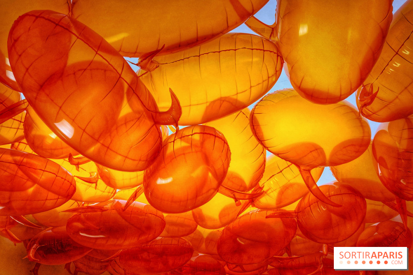 Euphoria - IMG 2730 2