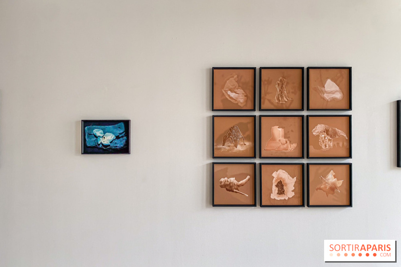 Exposition de Fred Atlan à la galerie Rachel Hardouin : au creux de mes paupières