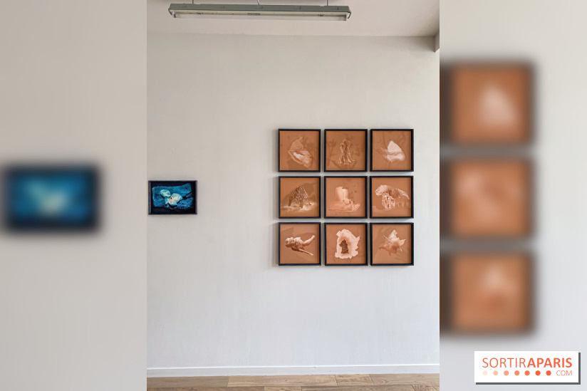 Exposition de Fred Atlan à la galerie Rachel Hardouin : au creux de mes paupières