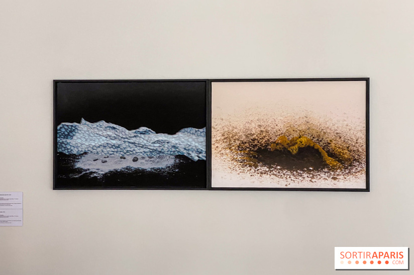 Exposition de Fred Atlan à la galerie Rachel Hardouin : au creux de mes paupières