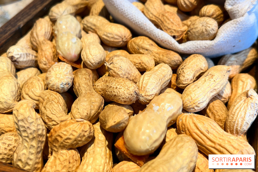 Restaurant Alan Geaam - Cacahuète au foie gras, combava, piment de cayenne