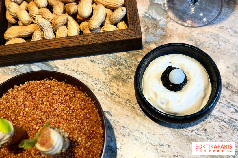 Restaurant Alan Geaam - Mini falafel, labhan, vierge de pois chiche, pickles radis