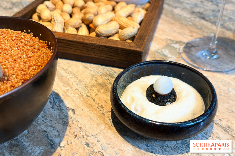 Restaurant Alan Geaam - Mini falafel, labhan, vierge de pois chiche, pickles radis