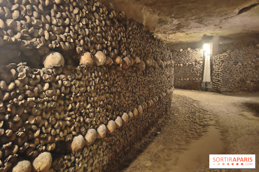 Les Catacombes de Paris - visuels