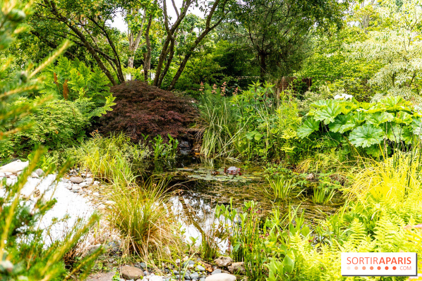 Le Jardin des Aubépines a Auffargis  - A7C01336