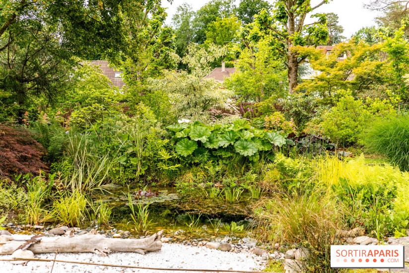 Le Jardin des Aubépines a Auffargis  - A7C01341