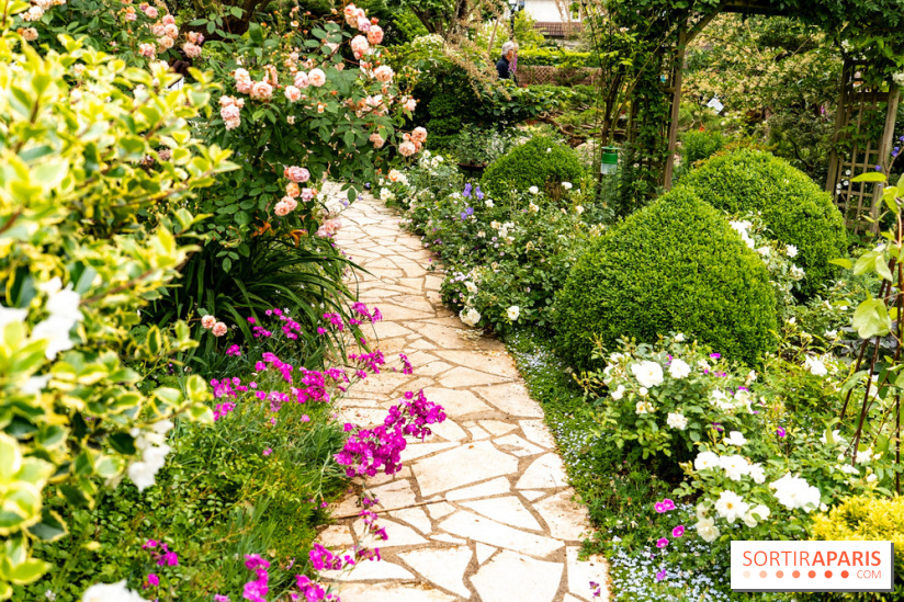 Le Jardin des Aubépines a Auffargis  - A7C01418