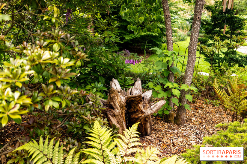 Le Jardin des Aubépines a Auffargis  - A7C01304