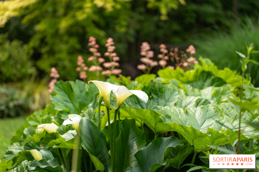 Le Jardin des Aubépines a Auffargis