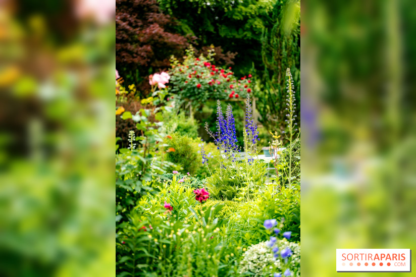 Le Jardin des Aubépines a Auffargis  - A7C01414