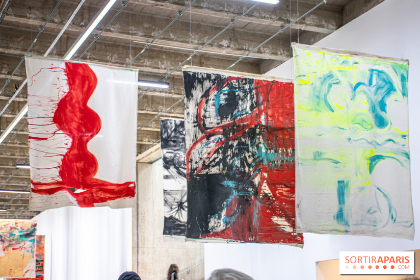 Exposition Disco de Vivan Sutter au Palais de Tokyo - DSC 3039