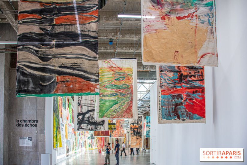 Exposition Disco de Vivan Sutter au Palais de Tokyo - DSC 3044