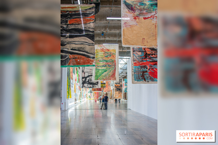 Exposition Disco de Vivan Sutter au Palais de Tokyo - DSC 3045