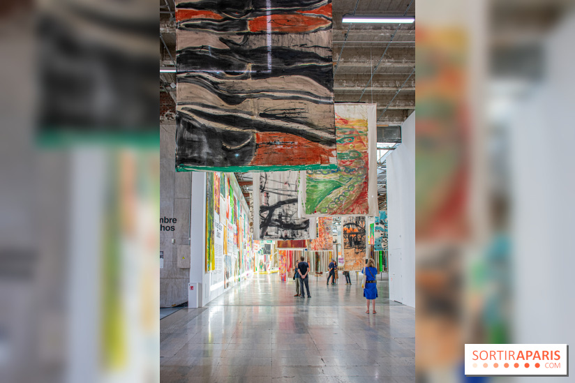 Exposition Disco de Vivan Sutter au Palais de Tokyo - DSC 3046