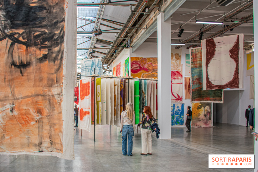 Exposition Disco de Vivan Sutter au Palais de Tokyo - DSC 3051