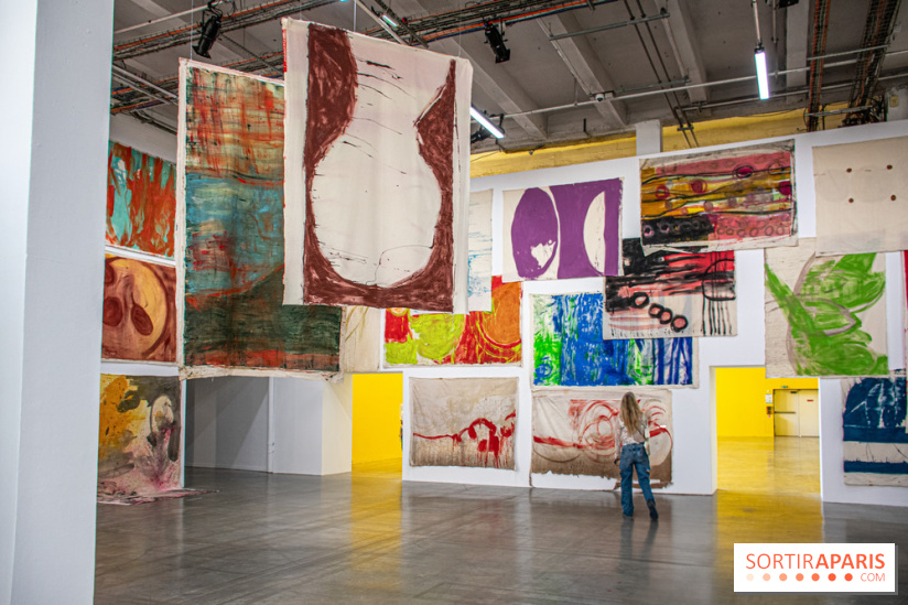 Exposition Disco de Vivan Sutter au Palais de Tokyo - DSC 3054