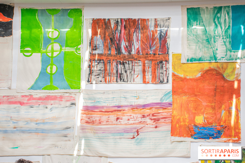 Exposition Disco de Vivan Sutter au Palais de Tokyo - DSC 3055