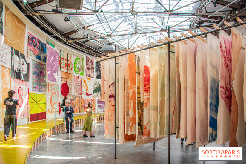 Exposition Disco de Vivan Sutter au Palais de Tokyo - DSC 3058