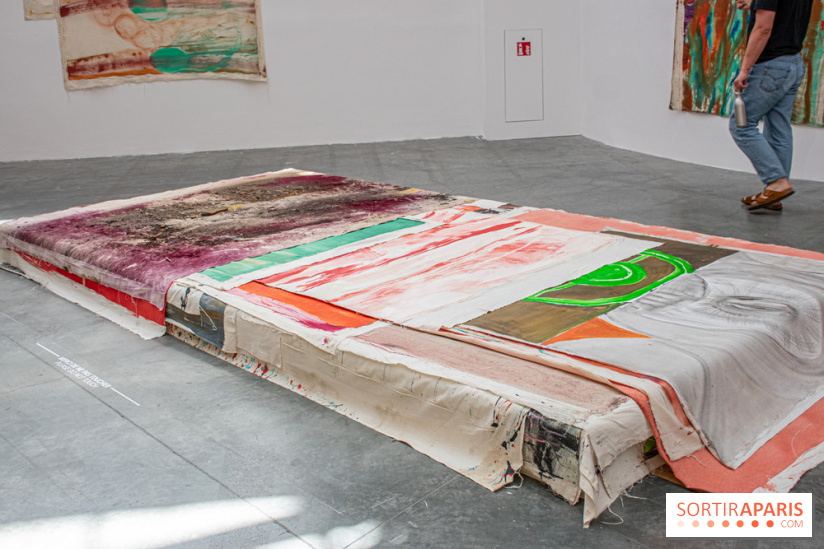 Exposition Disco de Vivan Sutter au Palais de Tokyo - DSC 3059