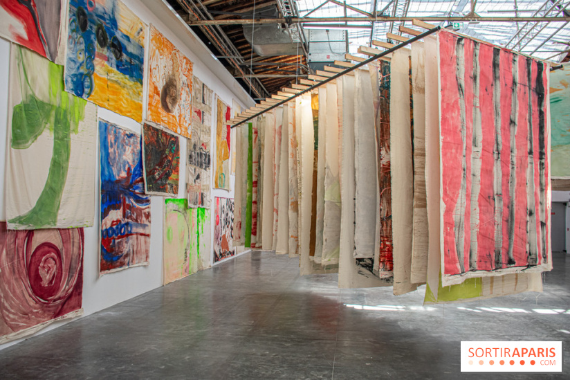 Exposition Disco de Vivan Sutter au Palais de Tokyo - DSC 3061