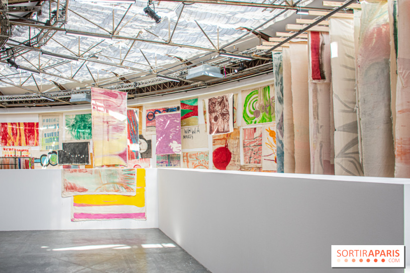 Exposition Disco de Vivan Sutter au Palais de Tokyo - DSC 3065