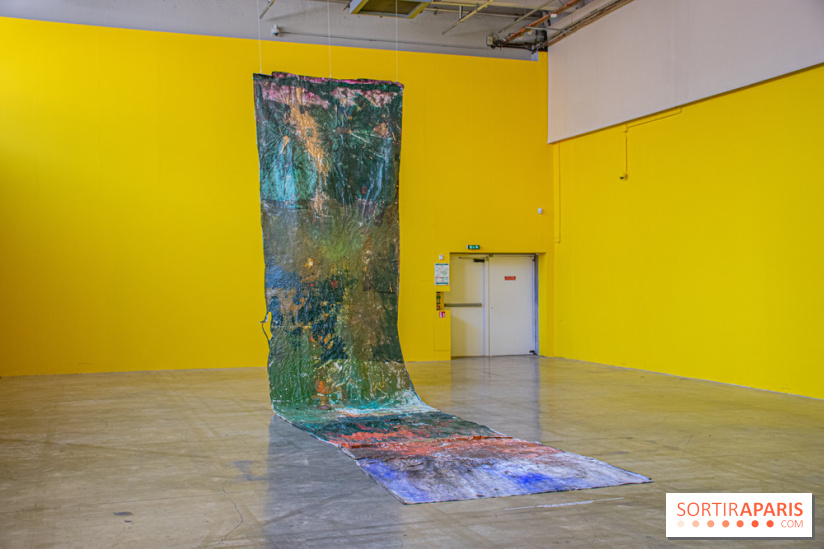 Exposition Disco de Vivan Sutter au Palais de Tokyo - DSC 3067