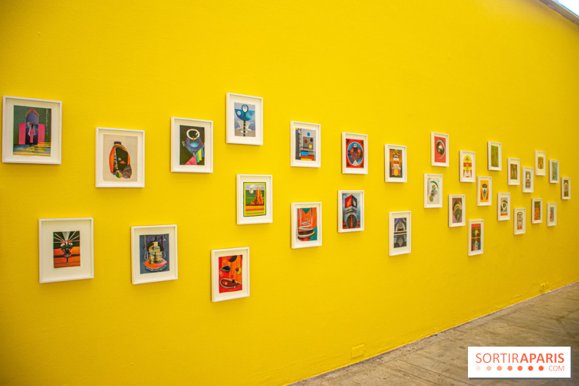 Exposition Disco de Vivan Sutter au Palais de Tokyo - DSC 3069