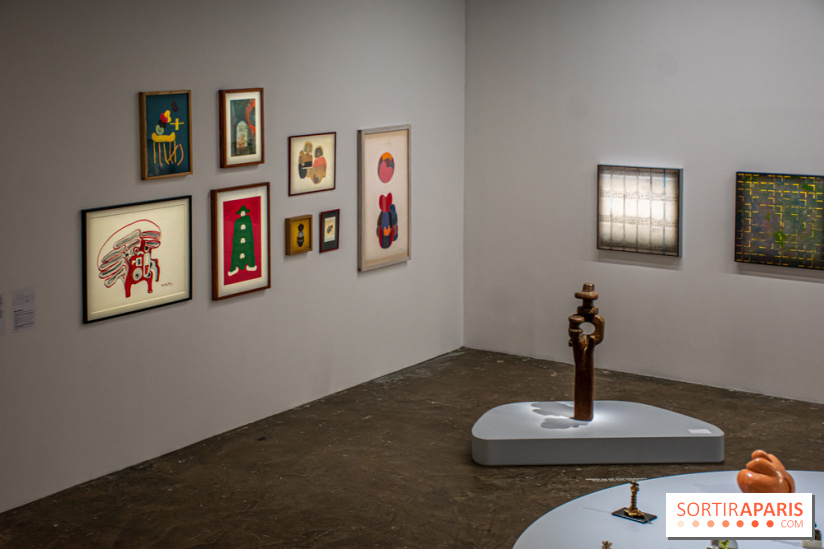 Exposition de Thảo Nguyên Phan au Palais de Tokyo - DSC 3073