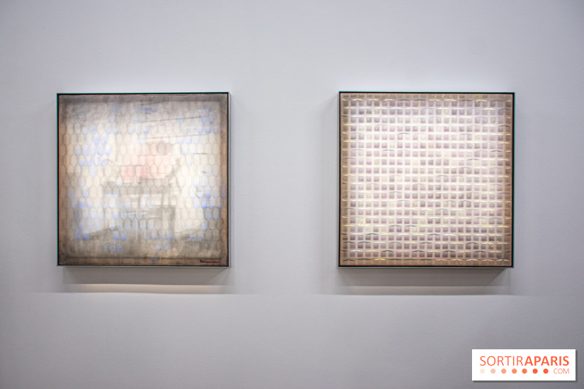 Exposition de Thảo Nguyên Phan au Palais de Tokyo - DSC 3080