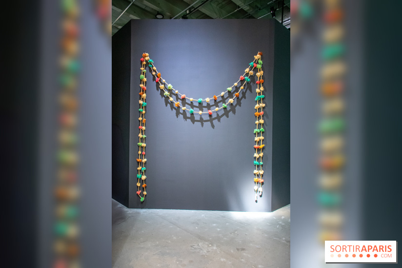 Exposition de Thảo Nguyên Phan au Palais de Tokyo