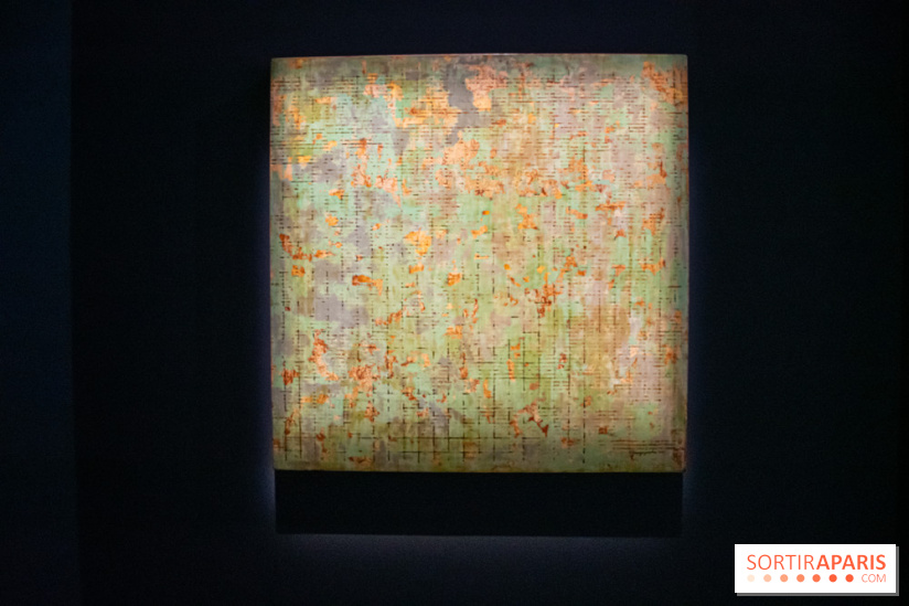 Exposition de Thảo Nguyên Phan au Palais de Tokyo - DSC 3087