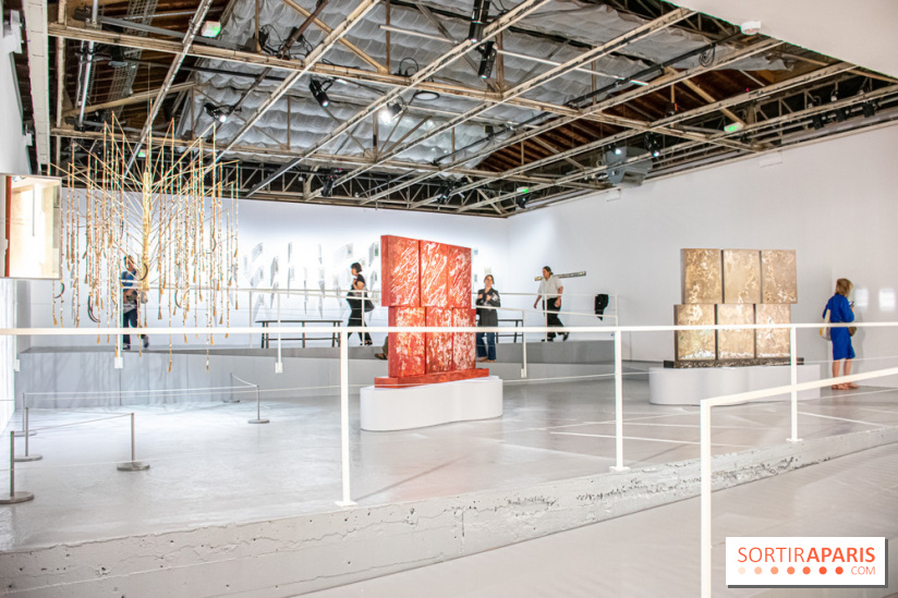 Exposition de Thảo Nguyên Phan au Palais de Tokyo - DSC 3092