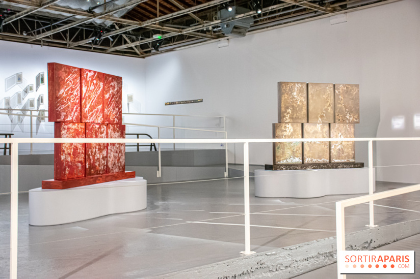 Exposition de Thảo Nguyên Phan au Palais de Tokyo - DSC 3093