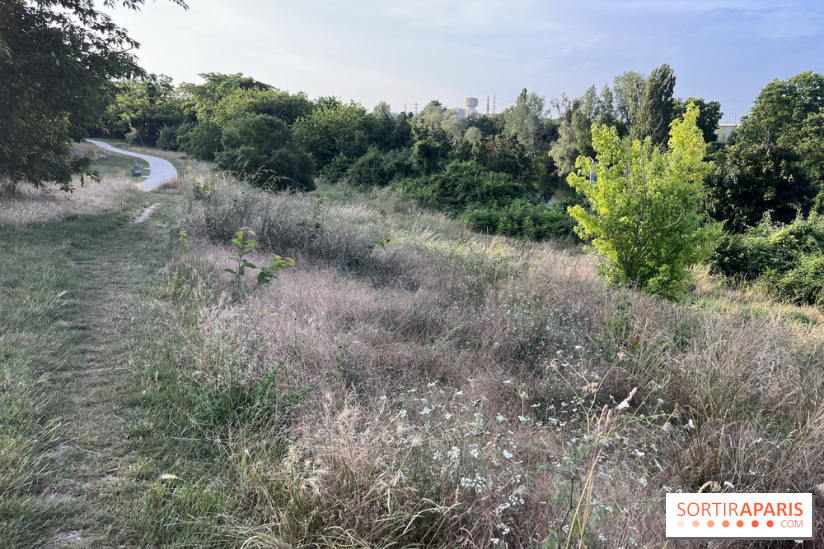 Le parc de l'Île-Saint-Denis - nos photos - 7B5E50E8 A9AF 4D82 AC6B FBB16863195F