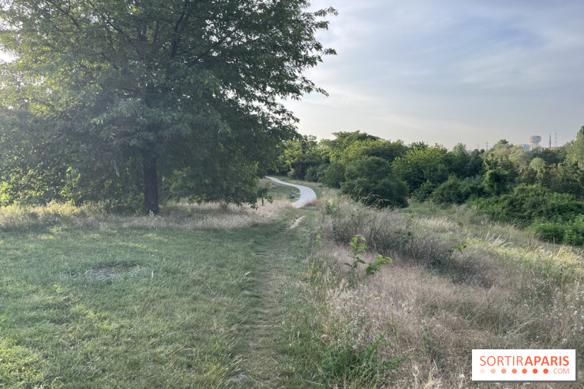 Le parc de l'Île-Saint-Denis - nos photos - 96DC1E52 629A 41C7 847C 4D6BC35C470A