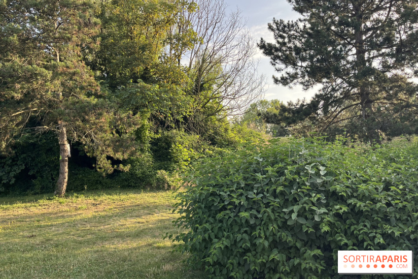 Le parc de l'Île-Saint-Denis - nos photos - 3F146E9F D3AF 4C8E AD51 F90D85BAC341