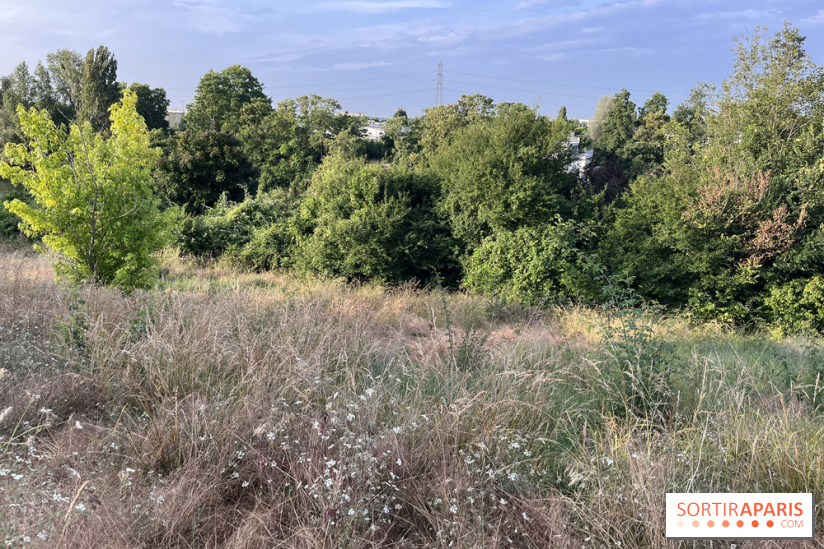 Le parc de l'Île-Saint-Denis - nos photos - C60ACAF0 A53D 4E50 8266 1C99F754FAE5