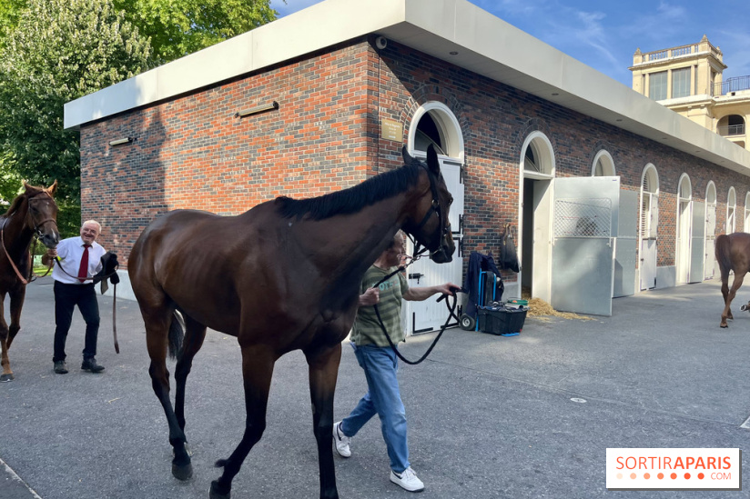 Jeuxdi by Longchamp - chevaux 