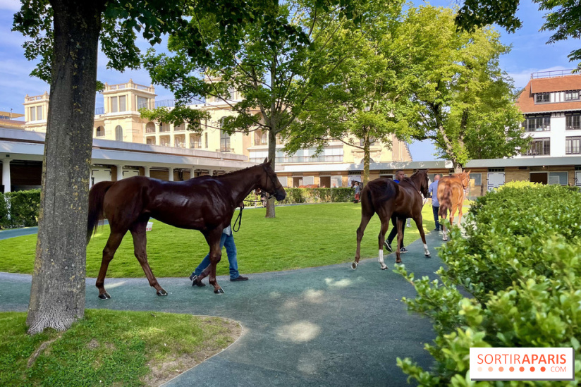 Jeuxdi by Longchamp - chevaux