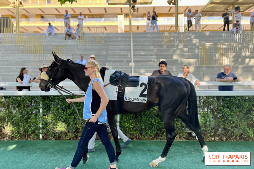 Jeuxdi by Longchamp - IMG 3011