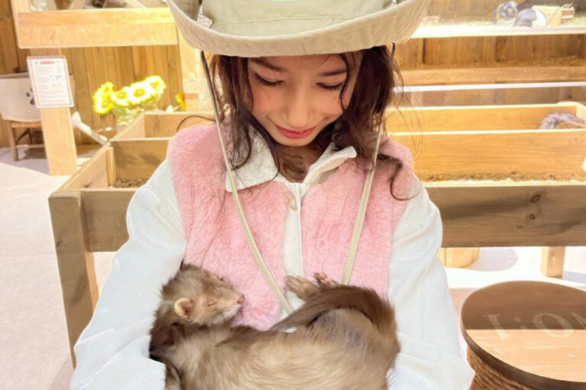 Le Monde de Noé : L’expérience immersive sur le monde animal 