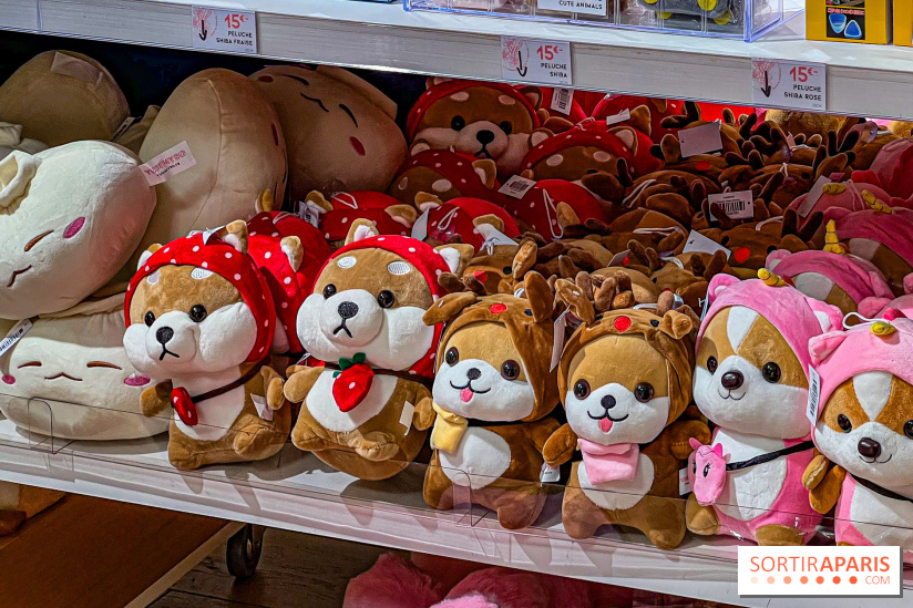 Korean Wave au BHV Marais: pop up XXL dédié à la K-Beauty, K-Food, K-Fashion, K-Culture et au Gaming - image00031