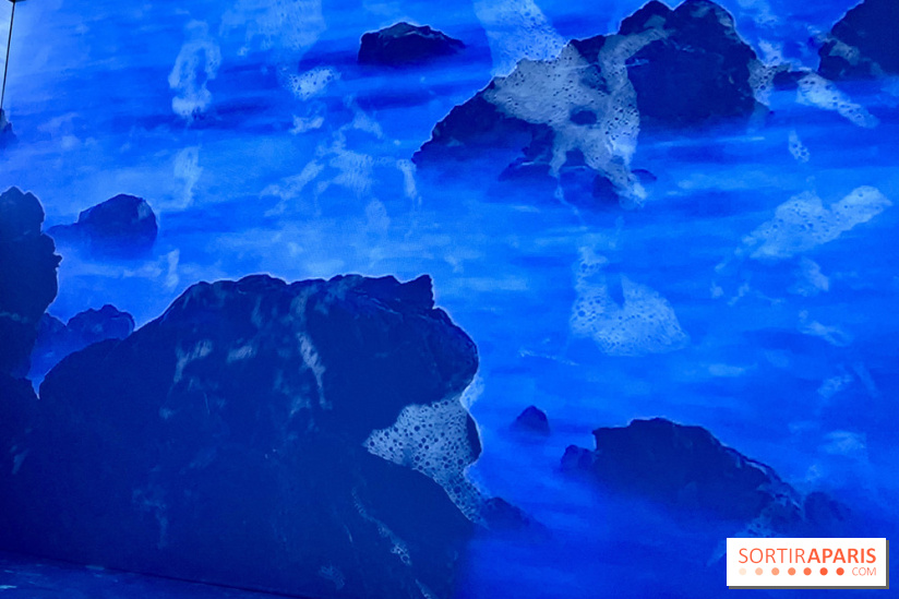 Topologie de l’Eau : Roches, Plantes et Vent - IMG 3235