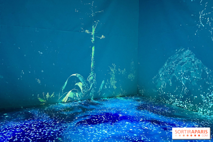 Topologie de l’Eau : Roches, Plantes et Vent - IMG 3240