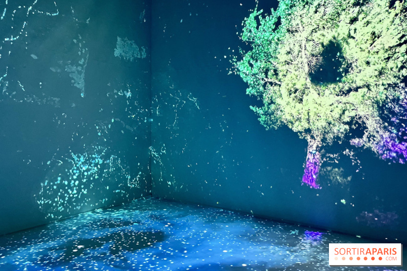 Topologie de l’Eau : Roches, Plantes et Vent - IMG 3242