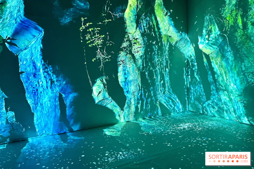 Topologie de l’Eau : Roches, Plantes et Vent - IMG 3247