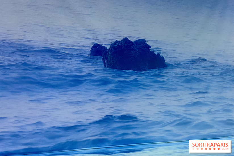 Topologie de l’Eau : Roches, Plantes et Vent - IMG 3250